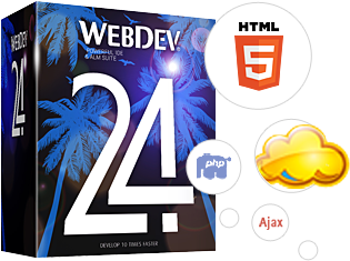 WebDev 24